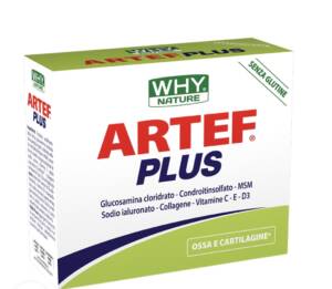 Artef Plus