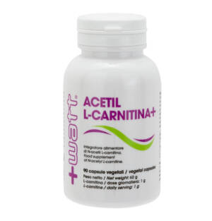 Acetil L-carnitina